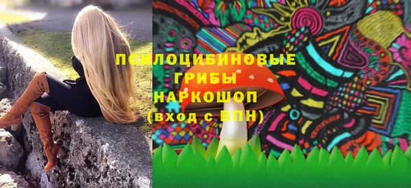 дмт Пестово