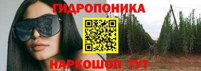 jwh Новодвинск
