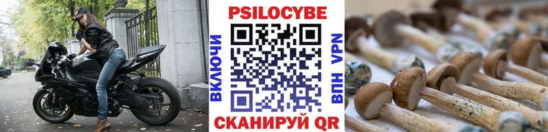 купить закладку  Советский  Галлюциногенные грибы Magic Shrooms 